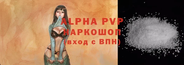 PSILOCYBIN Кострома