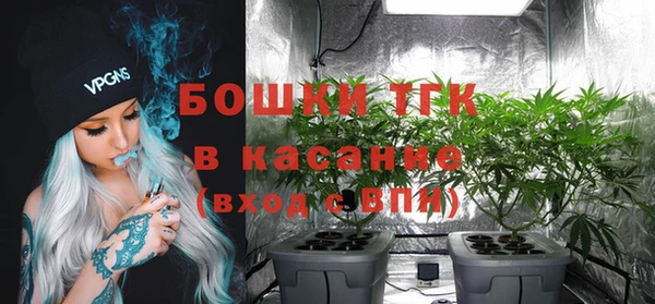 прущие грибы Липки