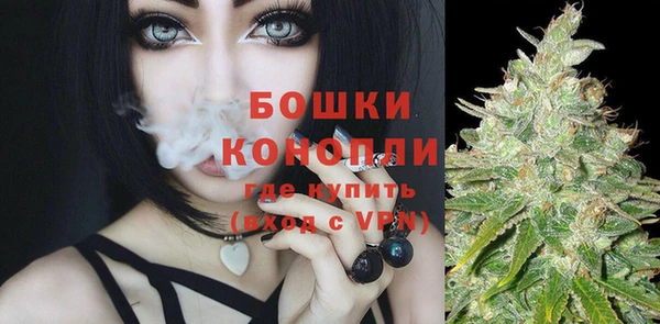 прущие грибы Липки