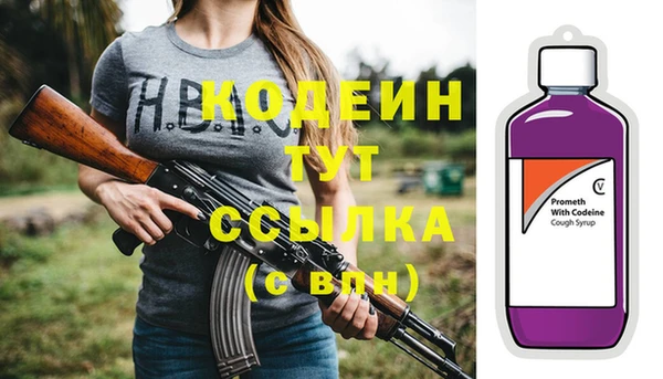 прущие грибы Липки