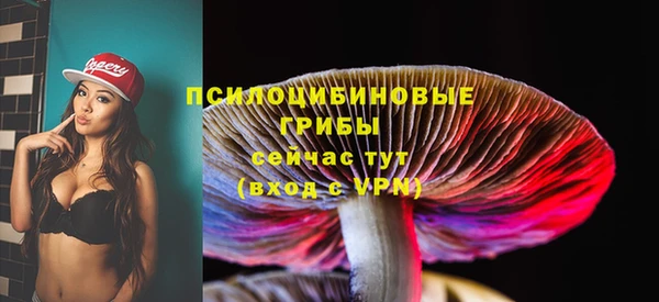 прущие грибы Липки